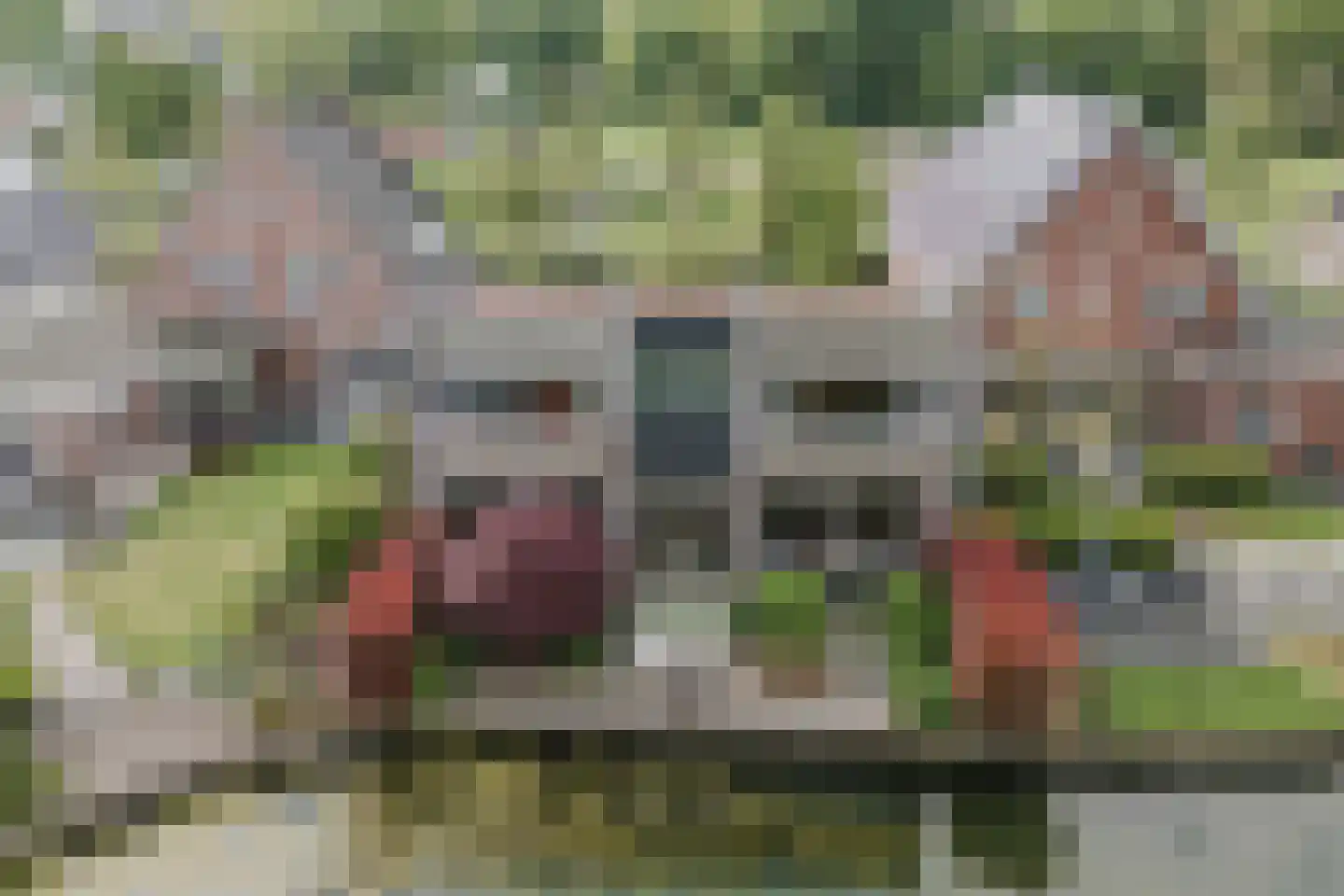 Edmund Nicklaan 12 Vleuten thumbnail 99