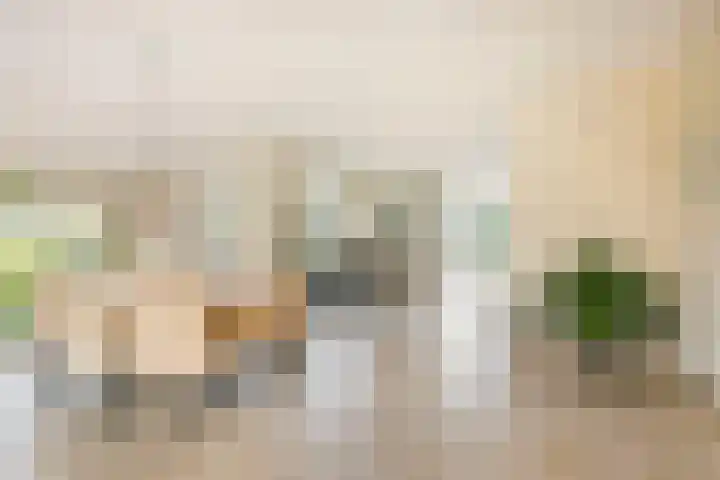 Edmund Nicklaan 6 Vleuten thumbnail 12