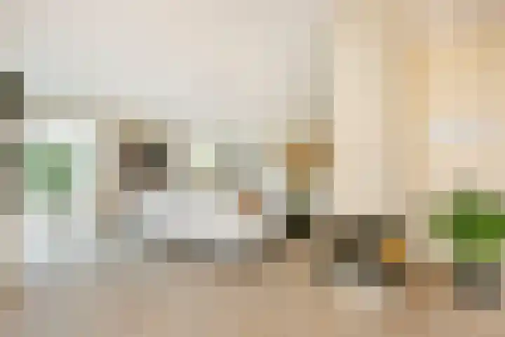 Edmund Nicklaan 6 Vleuten thumbnail 14
