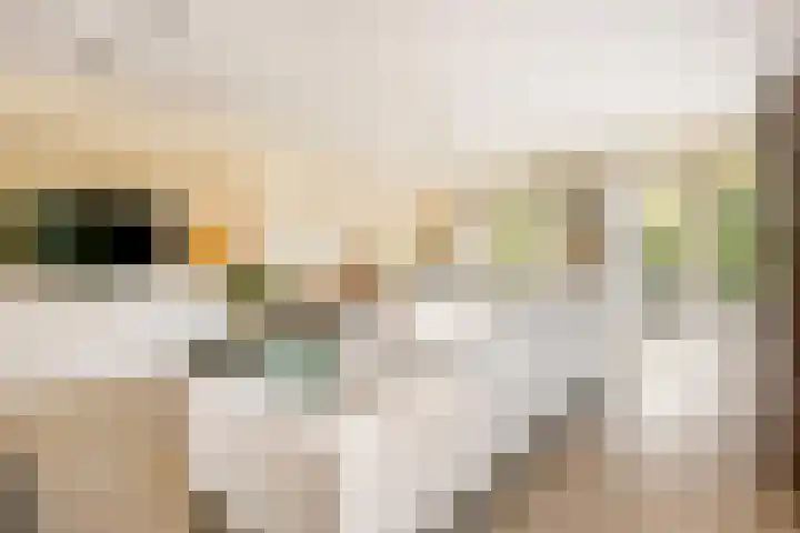 Edmund Nicklaan 6 Vleuten thumbnail 18