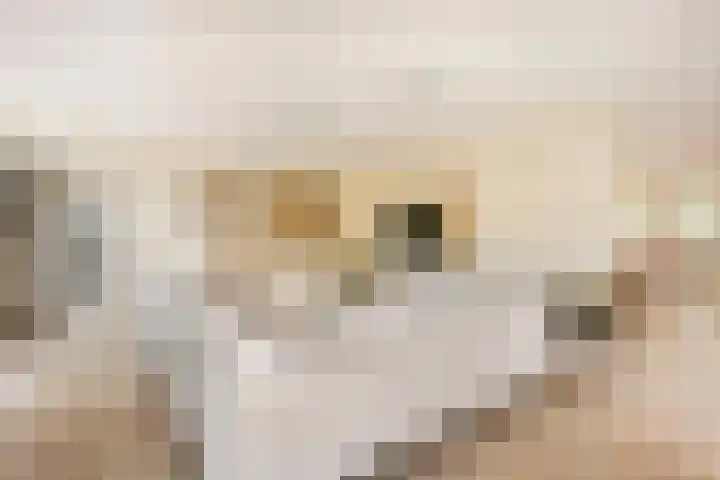 Edmund Nicklaan 6 Vleuten thumbnail 19