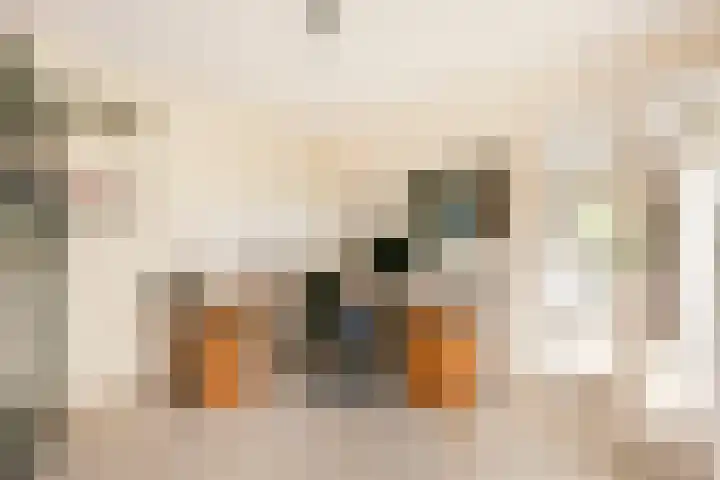 Edmund Nicklaan 6 Vleuten thumbnail 20