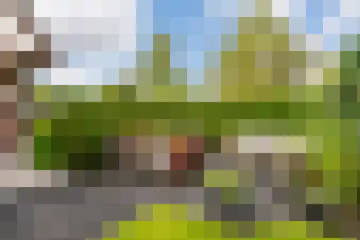 Edmund Nicklaan 6 Vleuten thumbnail 23