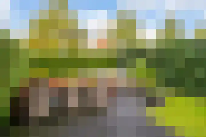 Edmund Nicklaan 6 Vleuten thumbnail 24