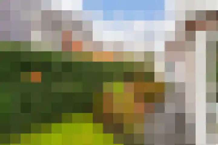 Edmund Nicklaan 6 Vleuten thumbnail 26