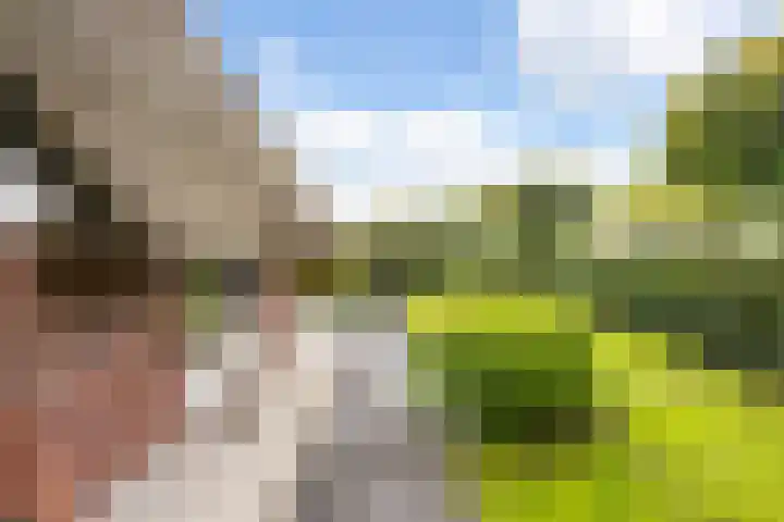 Edmund Nicklaan 6 Vleuten thumbnail 27