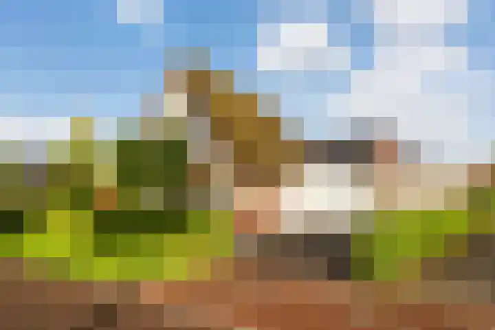 Edmund Nicklaan 6 Vleuten thumbnail 46
