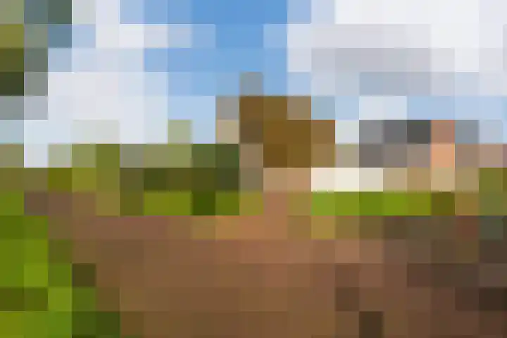 Edmund Nicklaan 6 Vleuten thumbnail 47