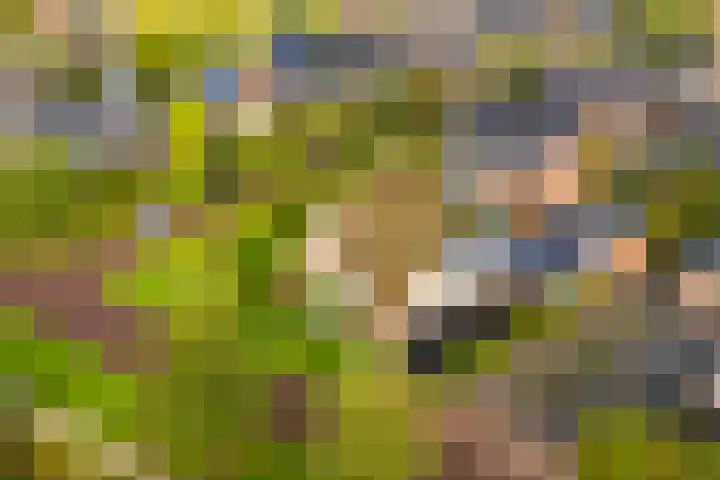 Edmund Nicklaan 6 Vleuten thumbnail 48