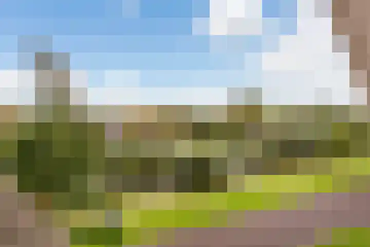 Edmund Nicklaan 6 Vleuten thumbnail 55