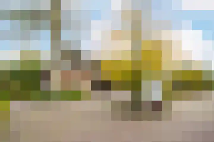 Edmund Nicklaan 6 Vleuten thumbnail 60