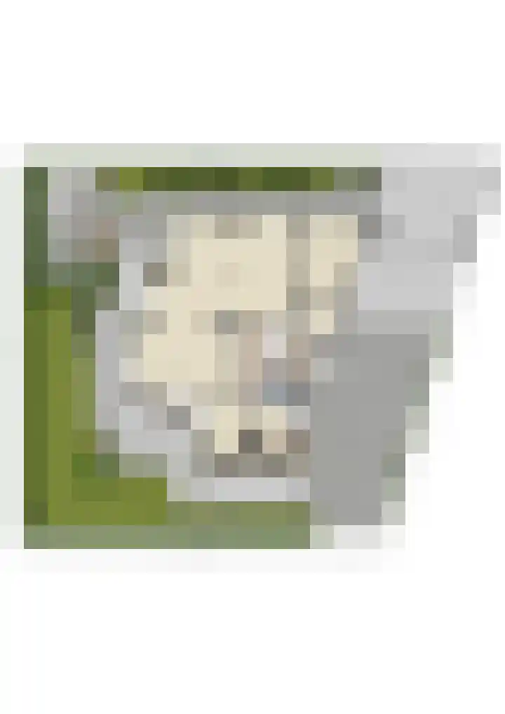 Edmund Nicklaan 6 Vleuten thumbnail 61