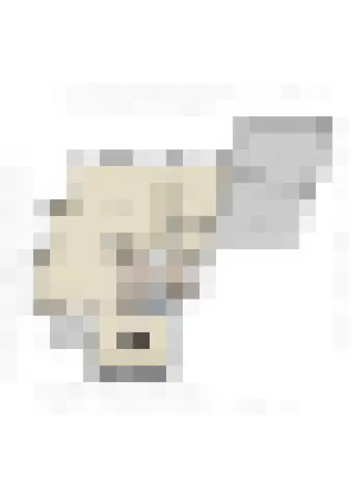 Edmund Nicklaan 6 Vleuten thumbnail 62