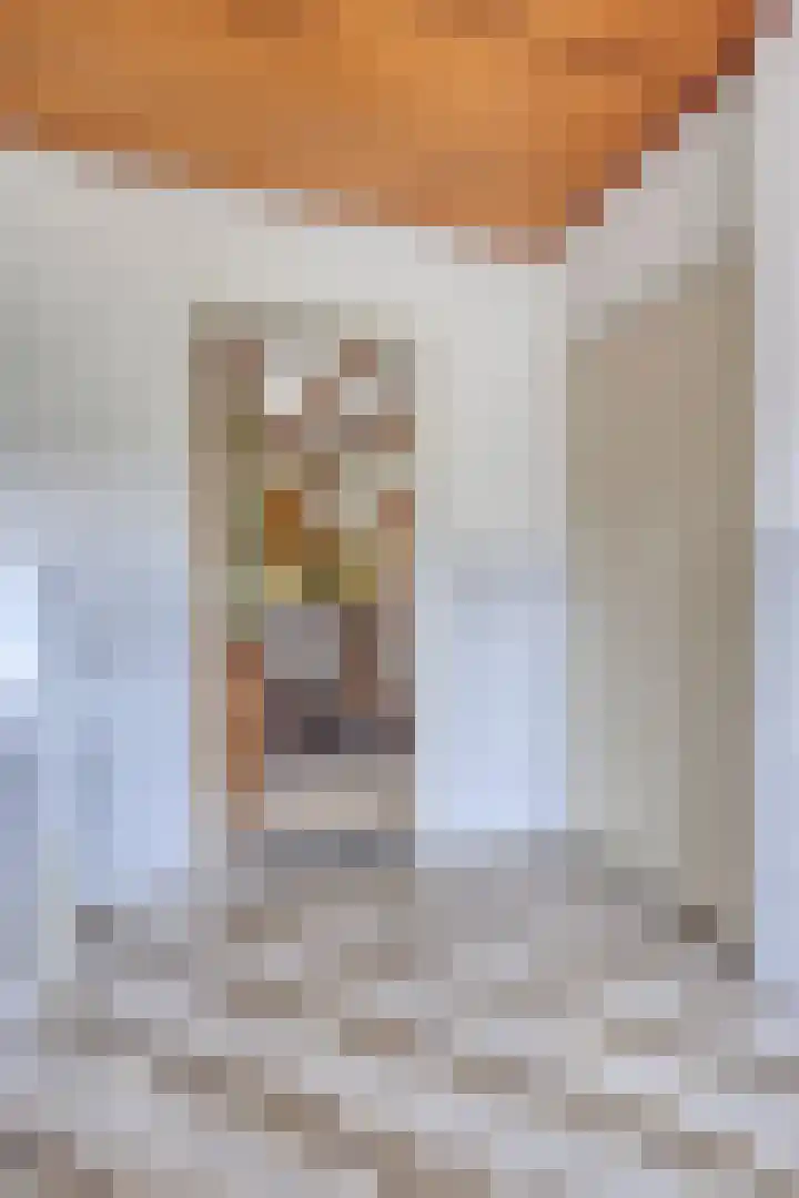 Edmundus van Dintherstraat 15 Heeswijk-Dinther thumbnail 21