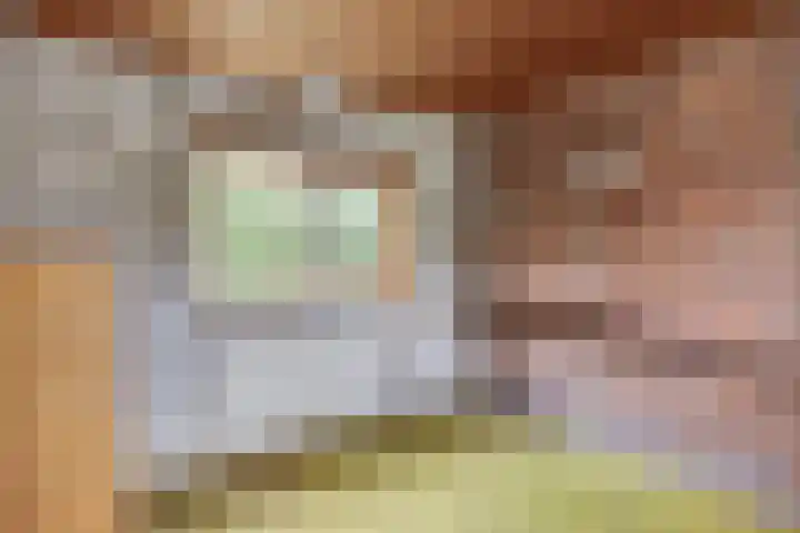Edmundus van Dintherstraat 15 Heeswijk-Dinther thumbnail 25