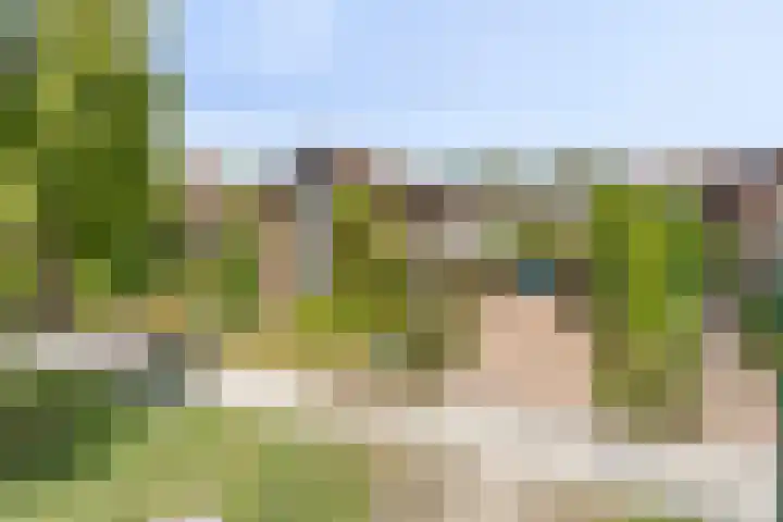 Edmundus van Dintherstraat 15 Heeswijk-Dinther thumbnail 4