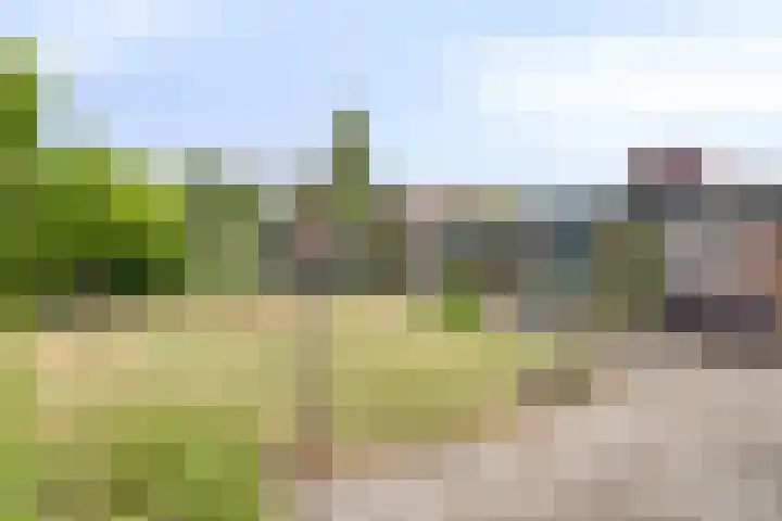 Edmundus van Dintherstraat 15 Heeswijk-Dinther thumbnail 41