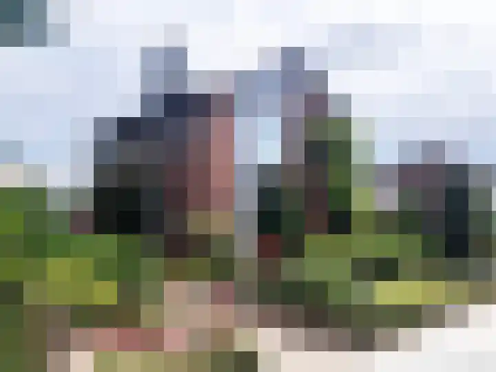 Edmundus van Dintherstraat 15 Heeswijk-Dinther thumbnail 44