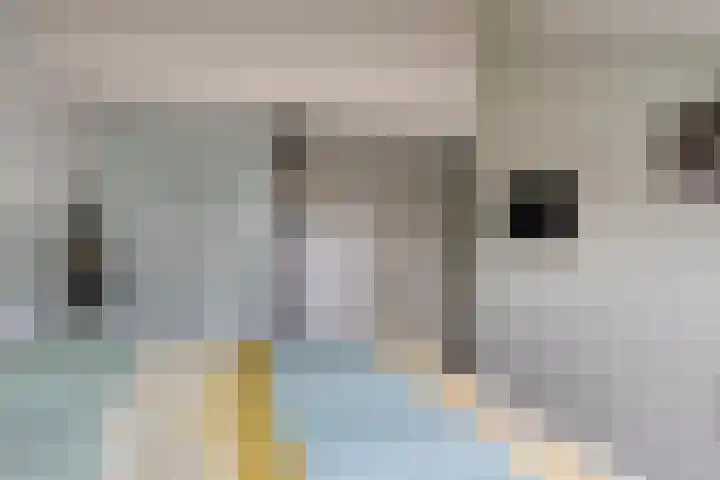 Edmundus van Dintherstraat 25 Heeswijk-Dinther thumbnail 27