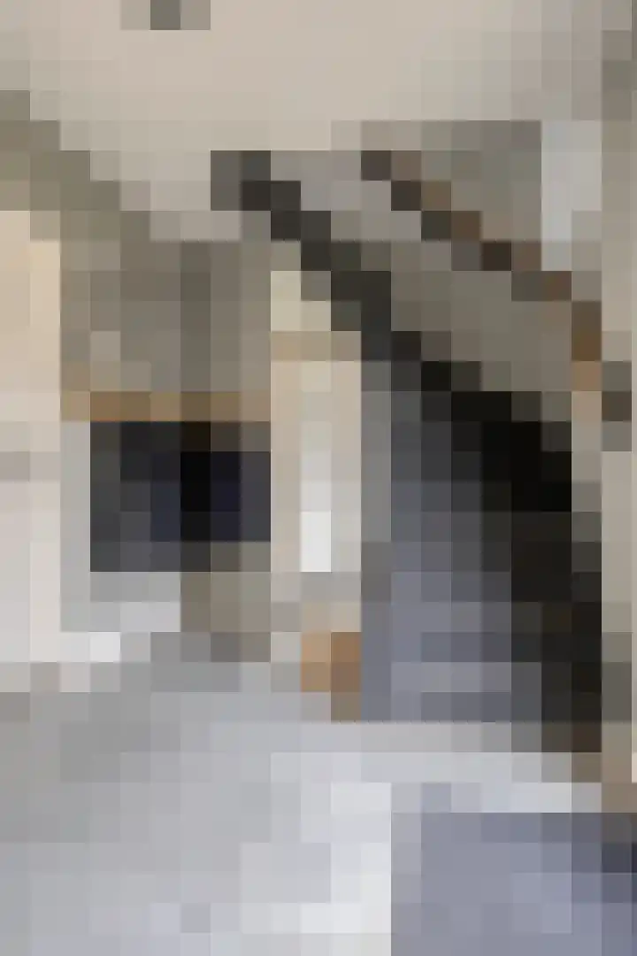 Edmundus van Dintherstraat 25 Heeswijk-Dinther thumbnail 7