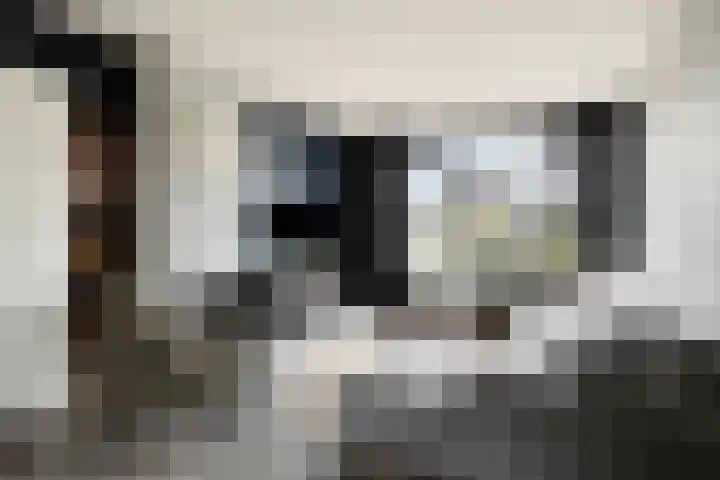 Edmundus van Dintherstraat 25 Heeswijk-Dinther thumbnail 9