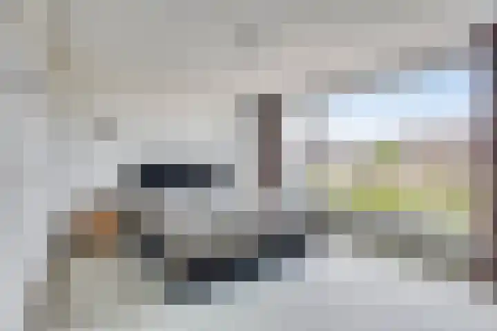 Edmundus van Dintherstraat 8 Heeswijk-Dinther thumbnail 17