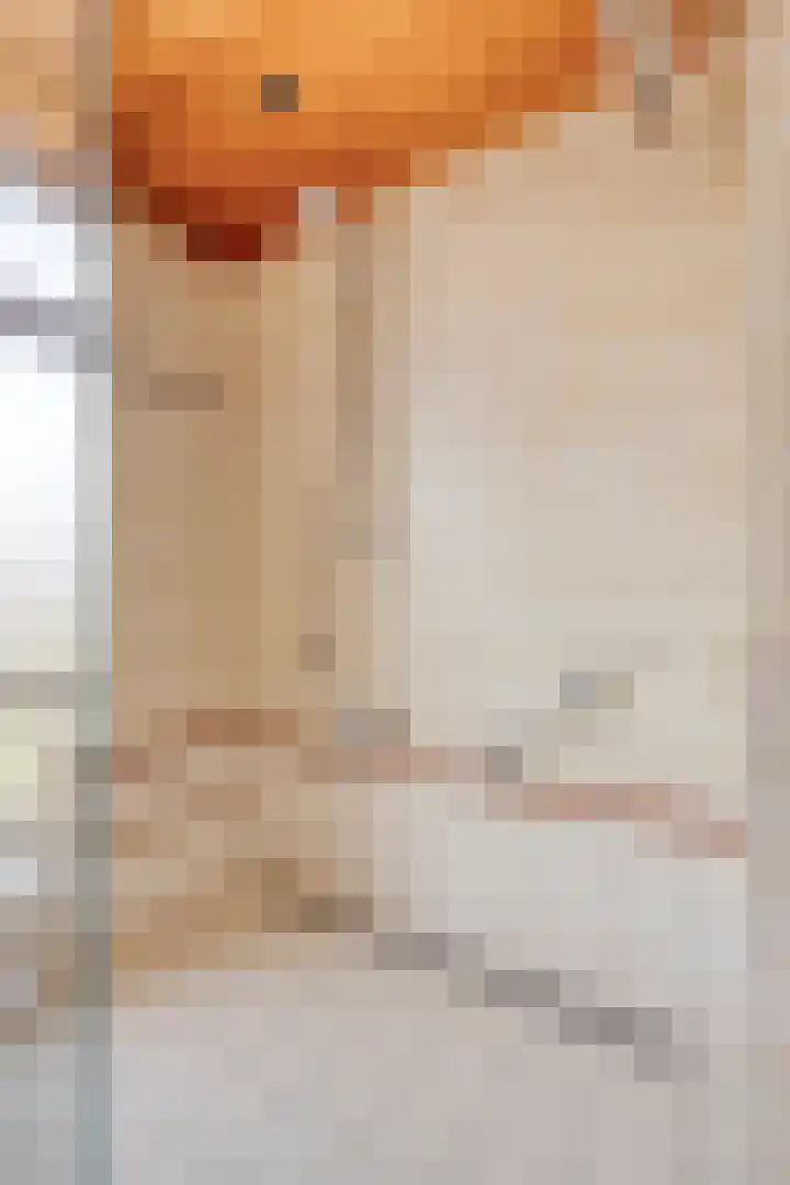 Edmundus van Dintherstraat 8 Heeswijk-Dinther thumbnail 21