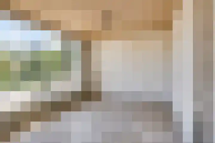 Edmundus van Dintherstraat 8 Heeswijk-Dinther thumbnail 24
