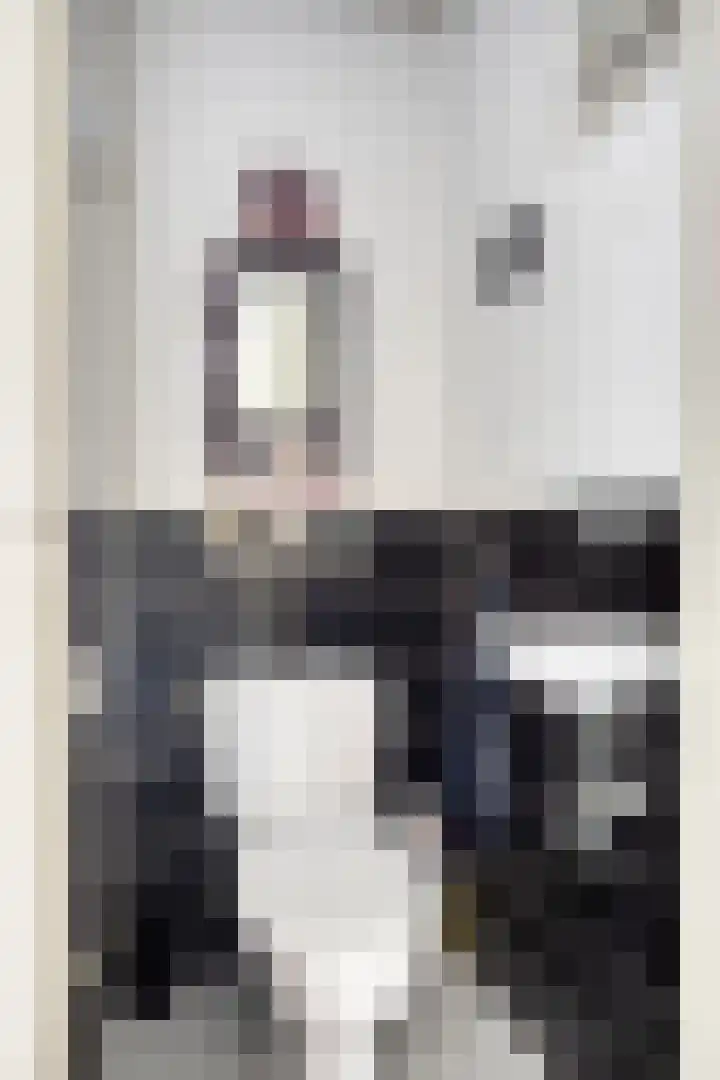 Edmundus van Dintherstraat 8 Heeswijk-Dinther thumbnail 6