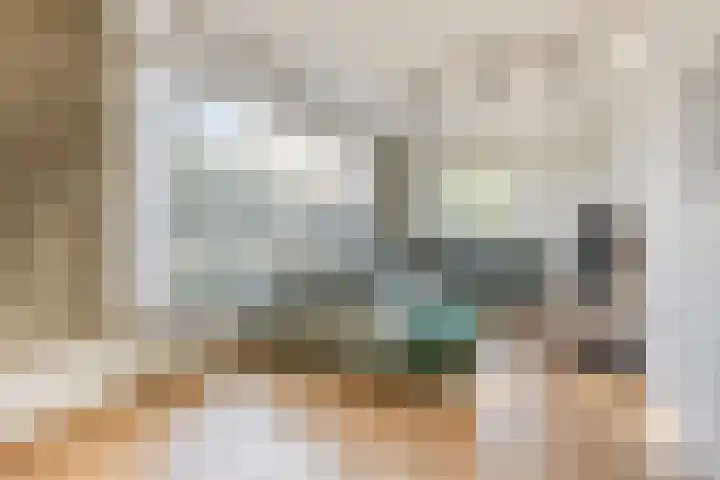 Edmundus van Dintherstraat 8 Heeswijk-Dinther thumbnail 7