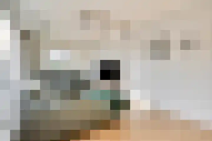 Edmundus van Dintherstraat 8 Heeswijk-Dinther thumbnail 8