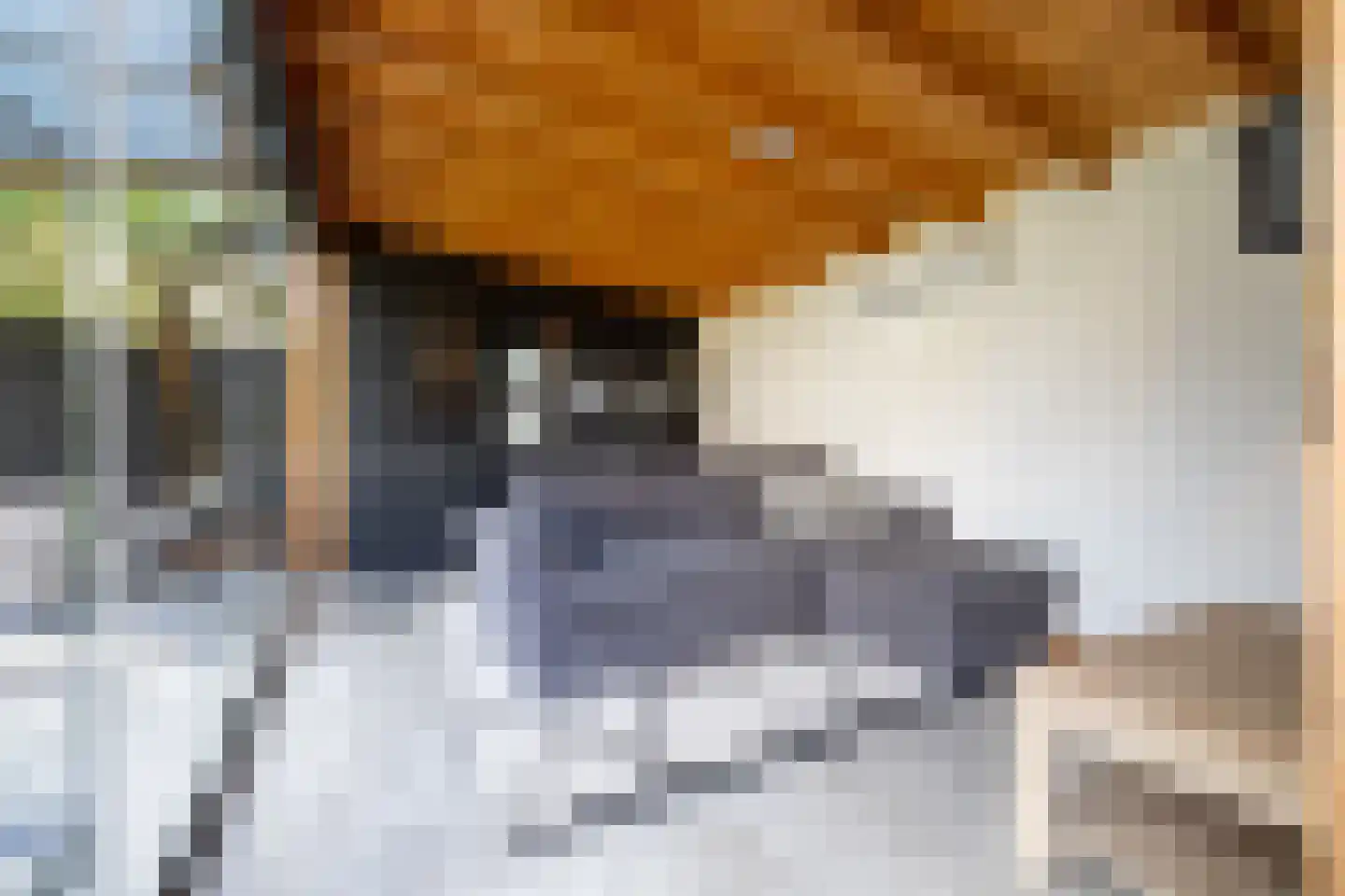 Edo Bergsmastraat 3 Doetinchem thumbnail 24