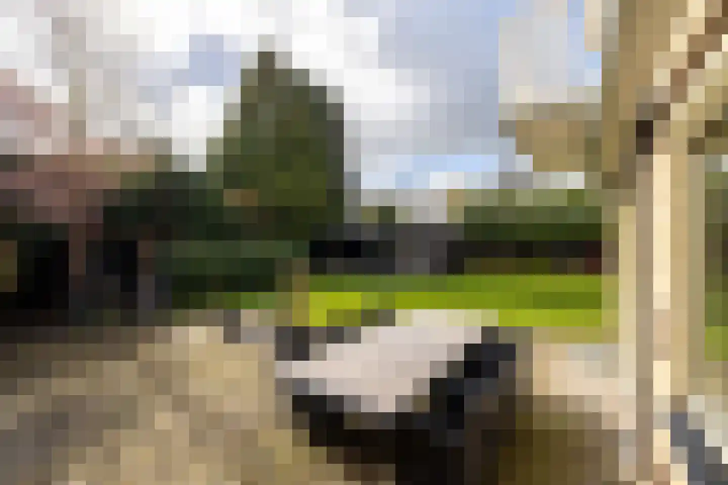 Edo Bergsmastraat 3 Doetinchem thumbnail 29