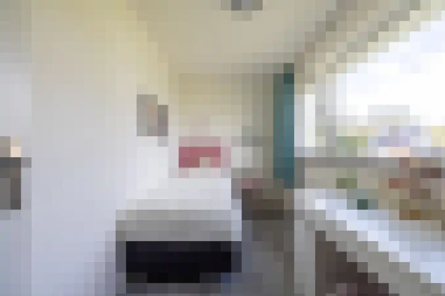 Edo Bergsmastraat 3 Doetinchem thumbnail 34