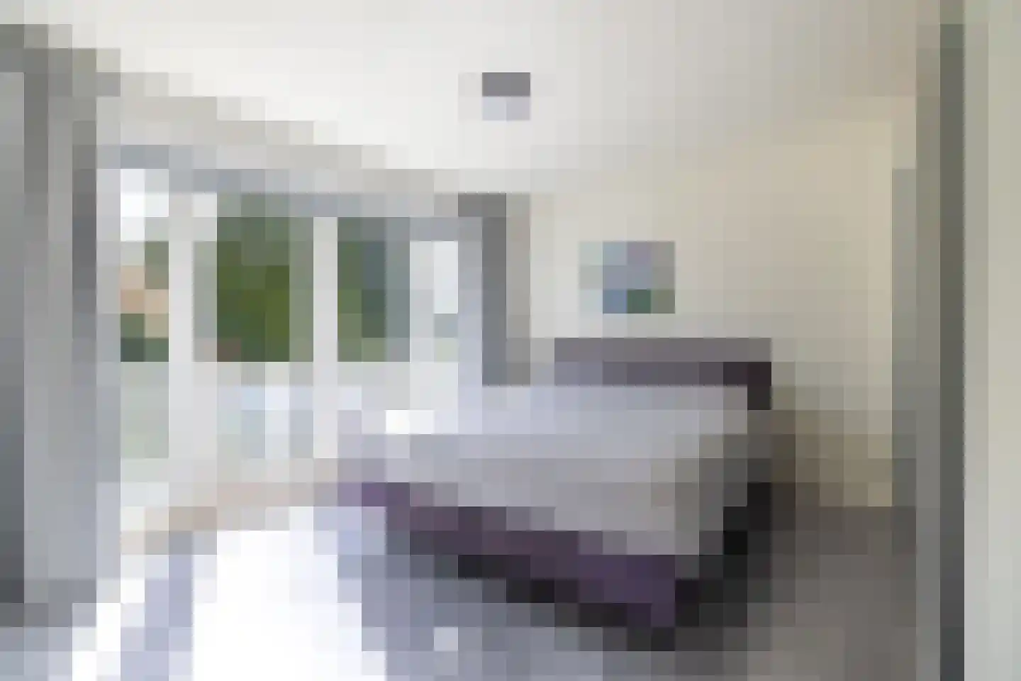 Edo Bergsmastraat 3 Doetinchem thumbnail 37