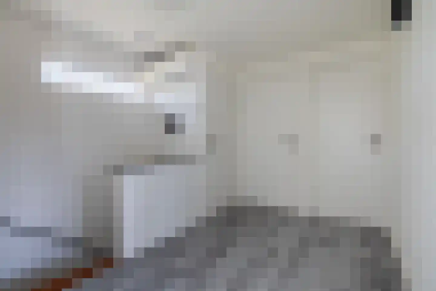 Edo Bergsmastraat 3 Doetinchem thumbnail 43