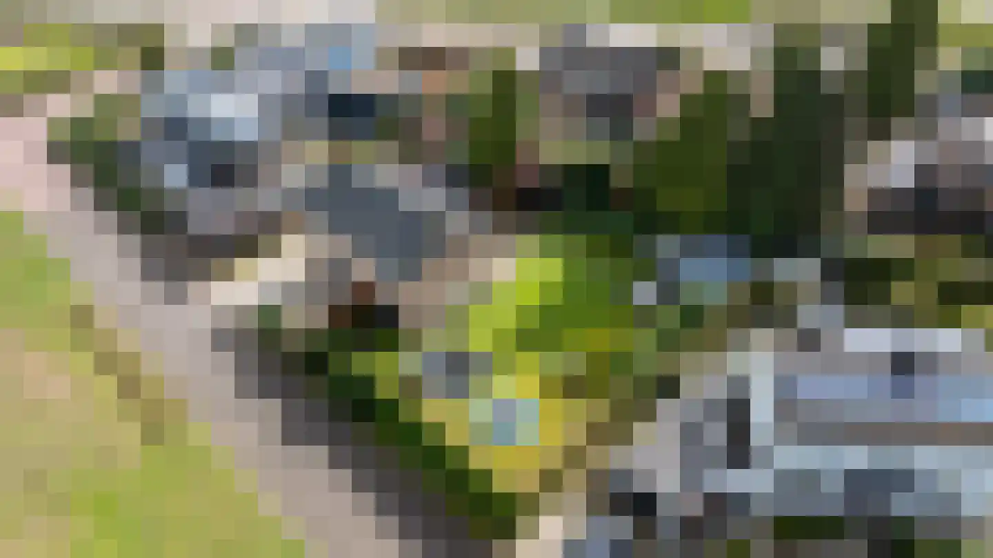 Edo Bergsmastraat 3 Doetinchem thumbnail 51