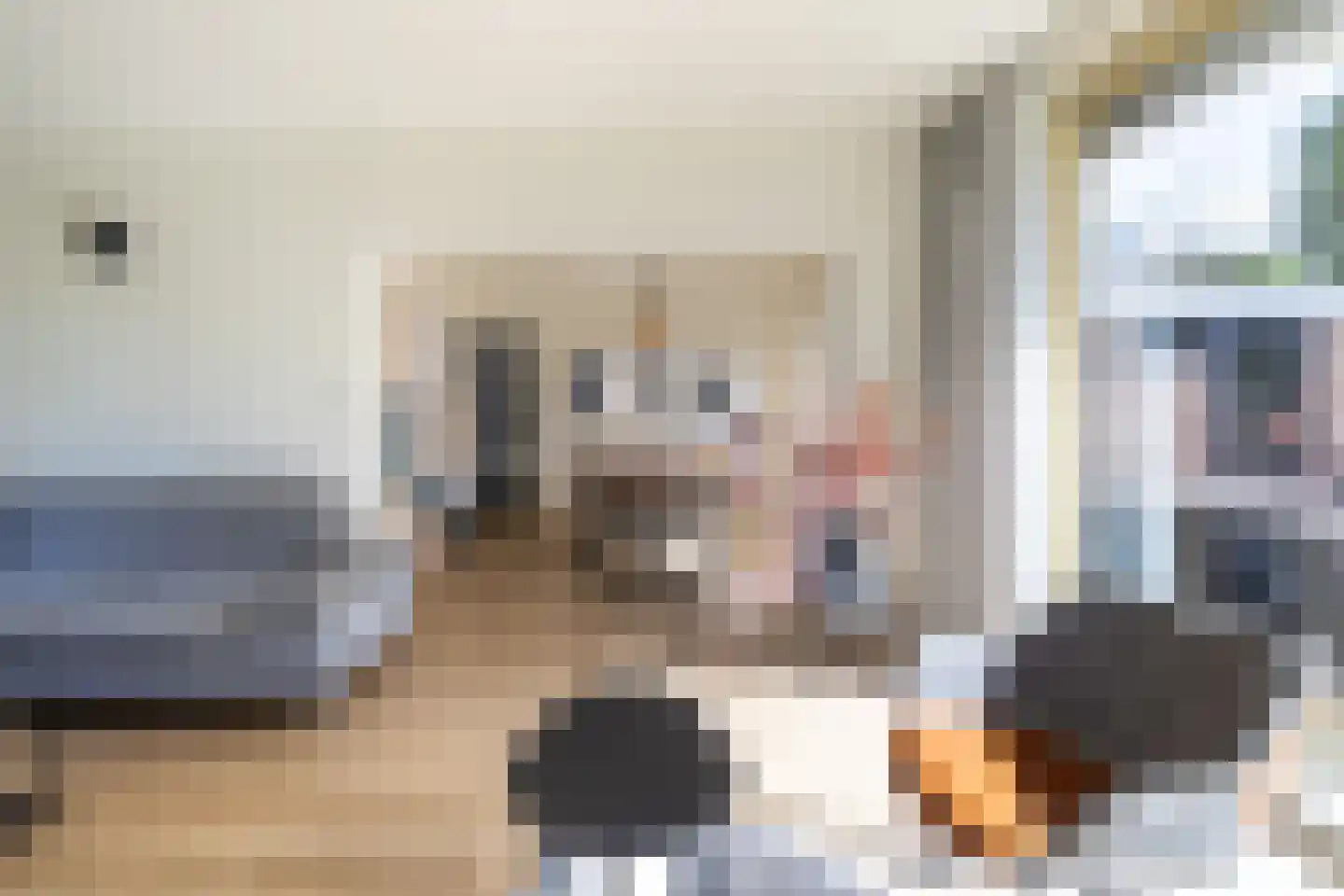 Edo Bergsmastraat 3 Doetinchem thumbnail 7