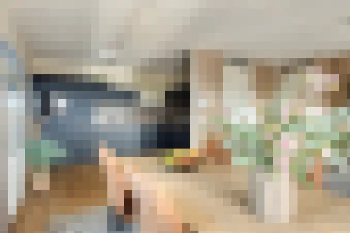 Eduard Flipsepad 29 Wissenkerke thumbnail 18