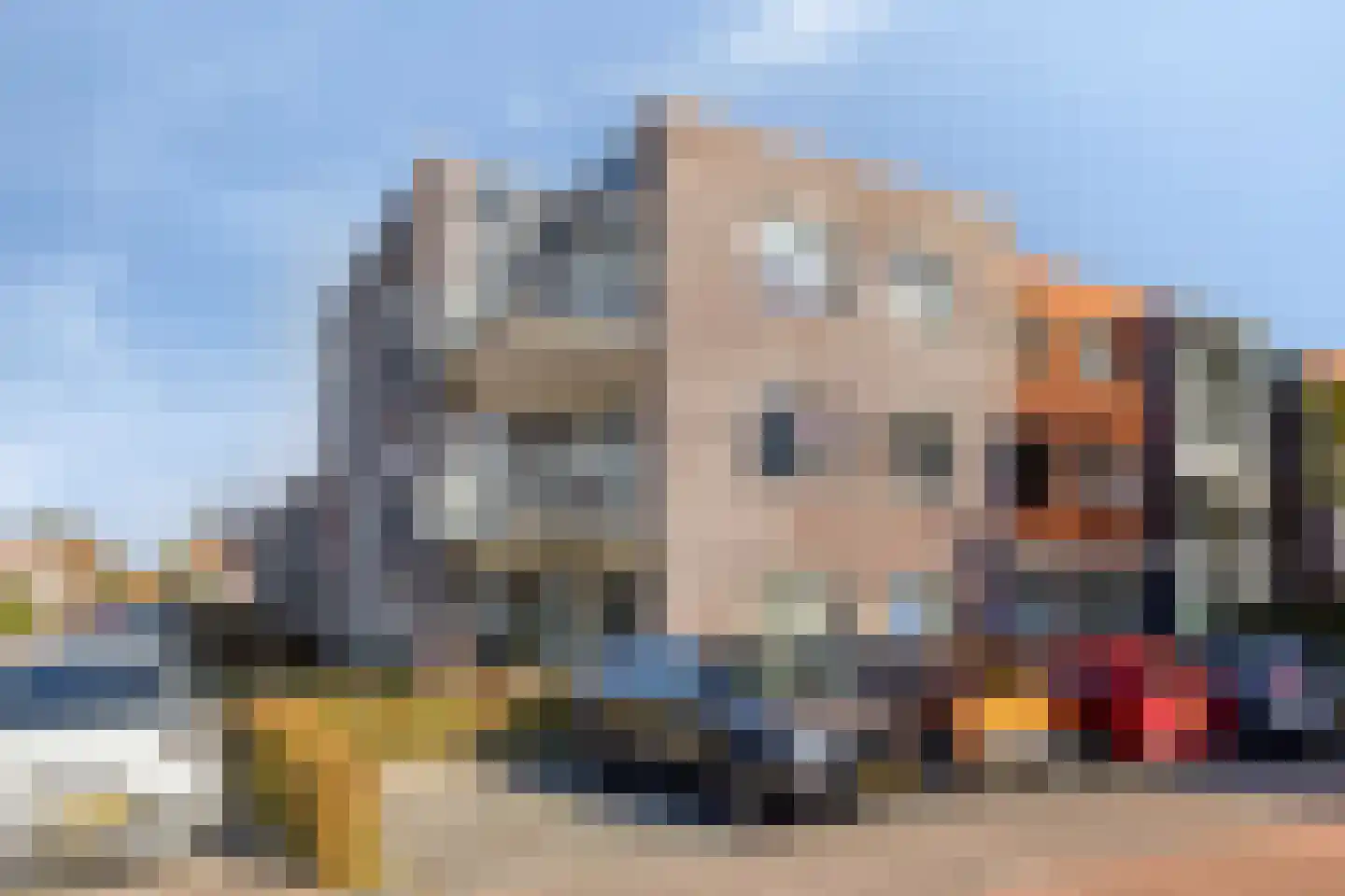 Eduard Flipsepad 29 Wissenkerke thumbnail 39
