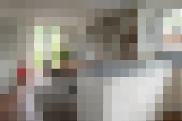 Eduard Flipsestraat 6 Hengelo thumbnail 10