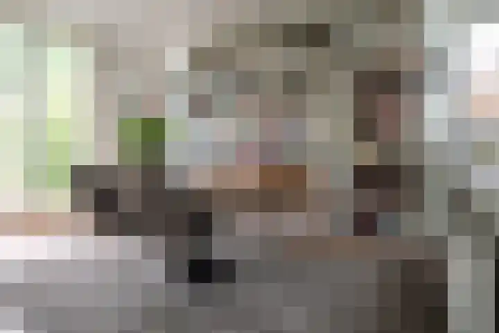 Eduard Flipsestraat 6 Hengelo thumbnail 11
