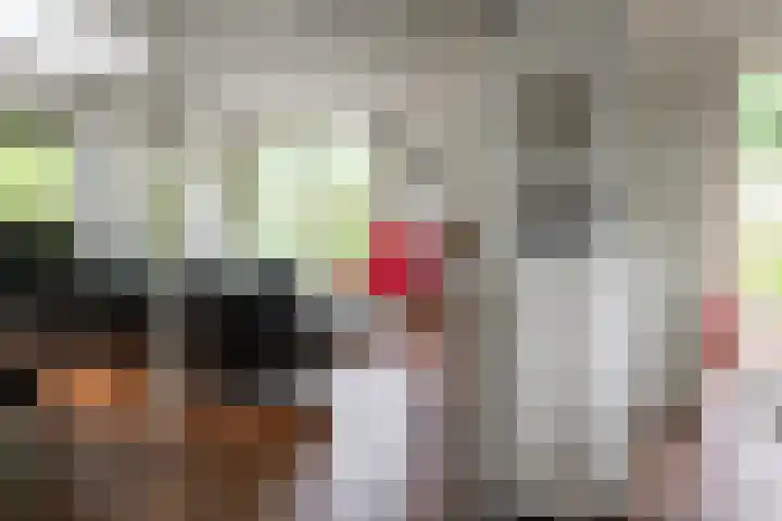Eduard Flipsestraat 6 Hengelo thumbnail 13