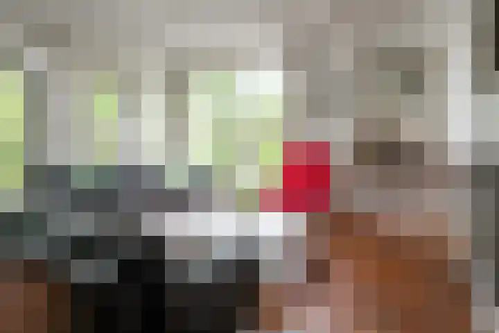 Eduard Flipsestraat 6 Hengelo thumbnail 14