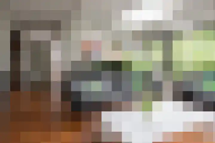 Eduard Flipsestraat 6 Hengelo thumbnail 16