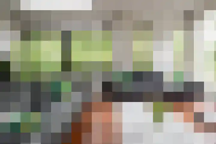 Eduard Flipsestraat 6 Hengelo thumbnail 17