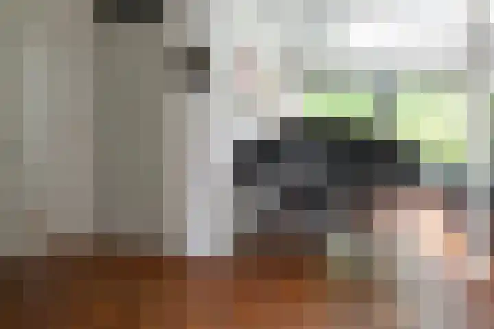 Eduard Flipsestraat 6 Hengelo thumbnail 18