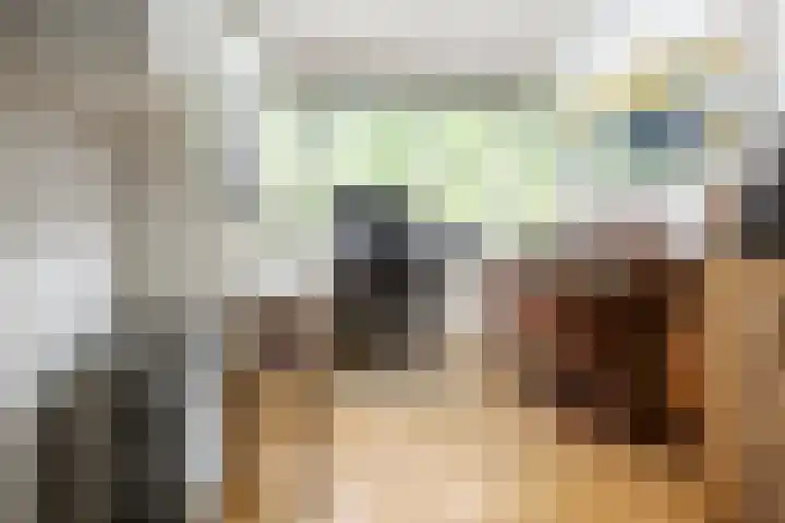 Eduard Flipsestraat 6 Hengelo thumbnail 20