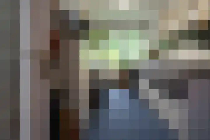 Eduard Flipsestraat 6 Hengelo thumbnail 22