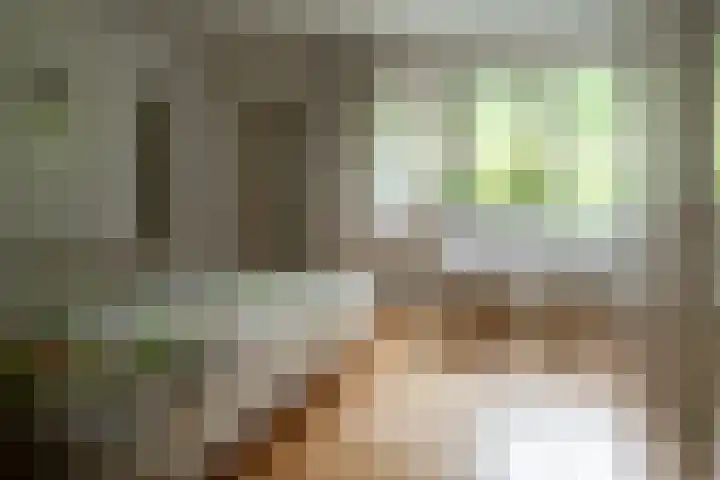 Eduard Flipsestraat 6 Hengelo thumbnail 29